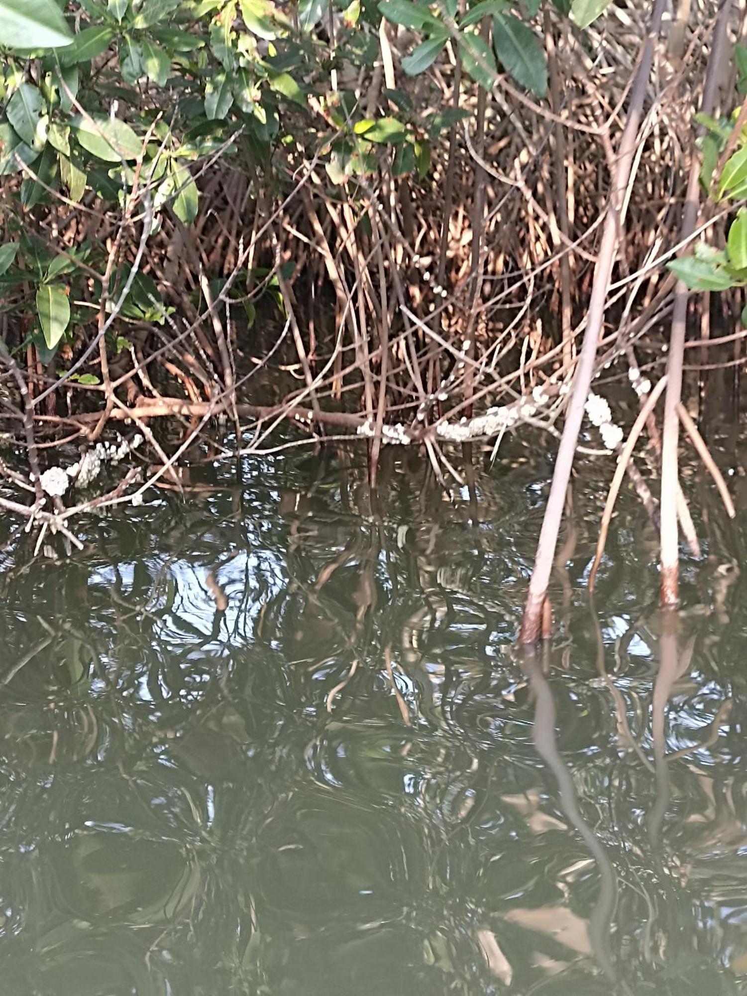 Playa Descalzo Cartagena
