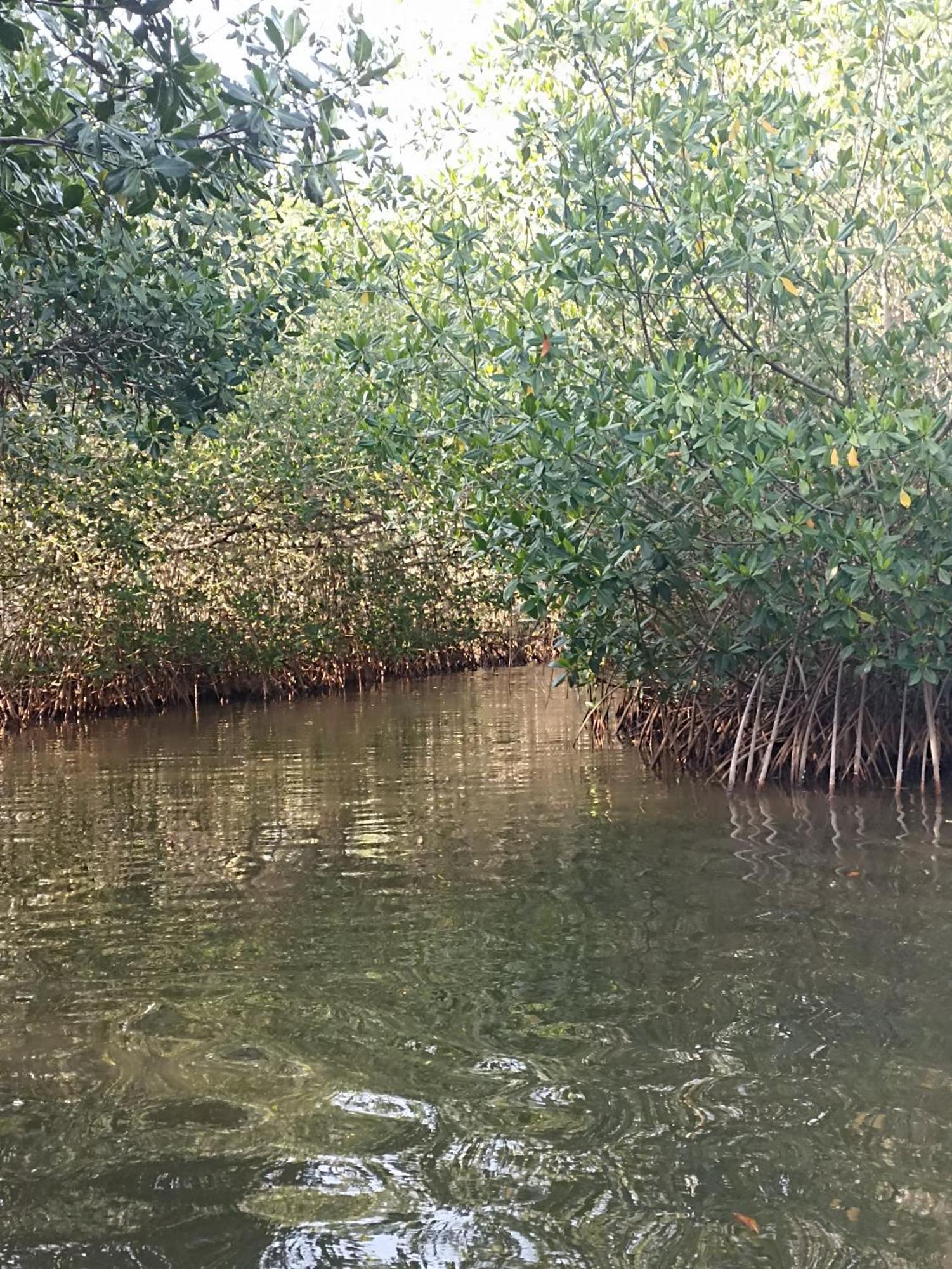 Pensión Playa Descalzo *